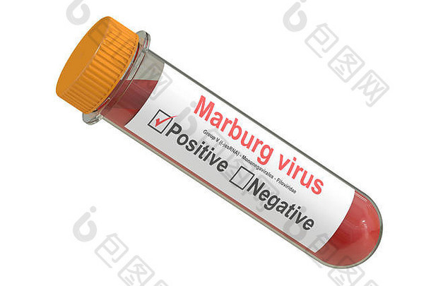 测试管血样本积极的马尔堡病毒呈现
