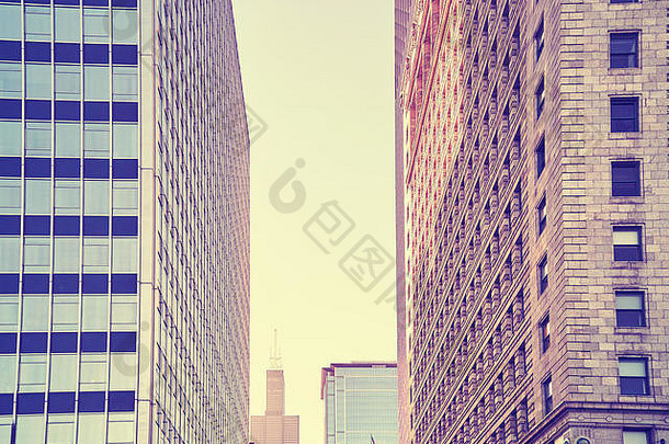 颜色健美的摩天大楼芝加哥市中心美国
