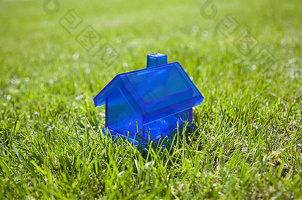 蓝色的房子绿色草