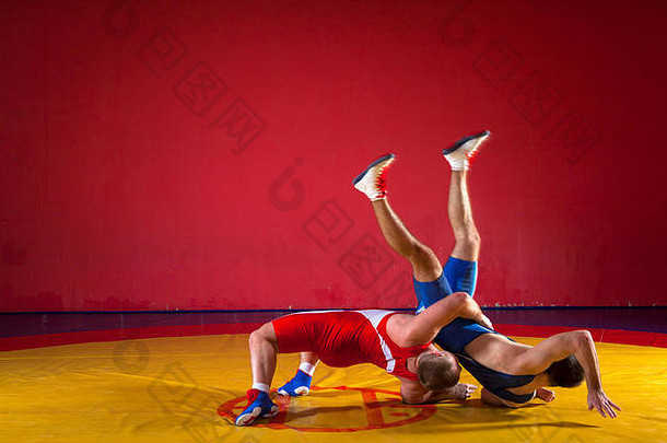 年轻的但摔跤手蓝色的红色的摔跤连裤袜wrestlng使臀部扔黄色的摔跤地毯健身房sied视图