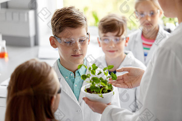 学生老师植物生物学类
