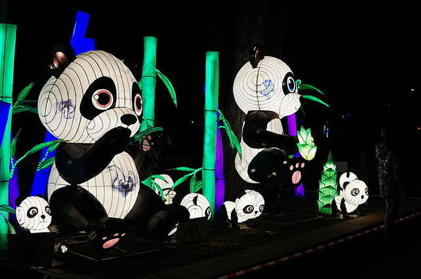 中国人灯笼节日家庭熊猫吃竹子