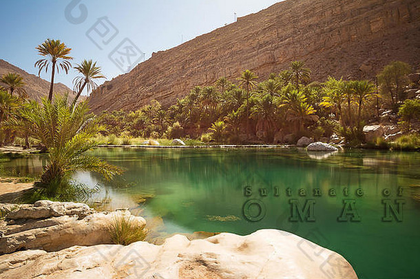美妙的湖绿洲棕榈树Wadi巴尼哈立德阿曼沙漠覆盖文本