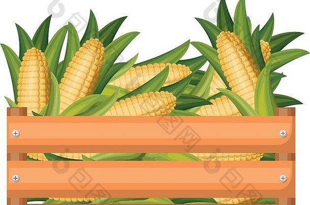 色彩斑斓的轮廓木盒子玉米