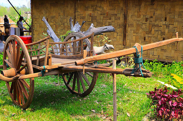 木古董车牛车显示在户外文化公园草地自然文化遗产之旅概念