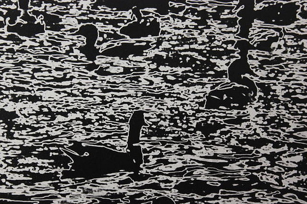 细黑色的白色艺术摄影群撑筏团队划<strong>鸭子游泳</strong>湖
