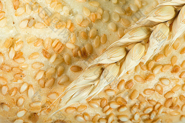 关闭面包小麦麦片作物studuo拍摄