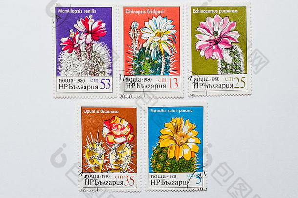 乌日哥罗德乌克兰约集合邮资邮票印刷保加利亚显示仙人掌花约