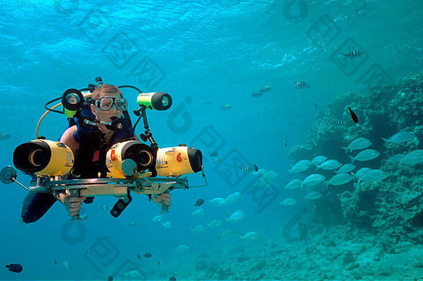 水下摄影师工作特殊的相机集