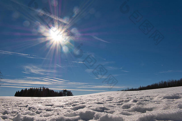 视图太阳雪前景树背景