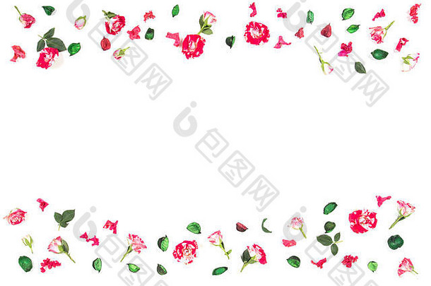 花作文框架使新鲜的玫瑰干花平躺前视图