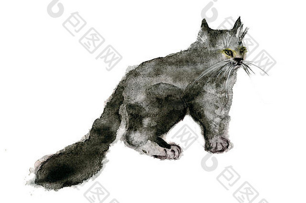 水彩绘画黑色的毛茸茸的猫