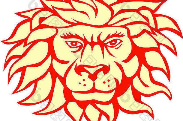 插图愤怒的狮子大猫头流动鬃毛查看前面集孤立的白色背景复古的风格