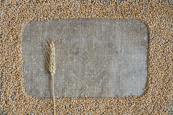 小麦粮食形式框架粗麻布框架小麦耳朵