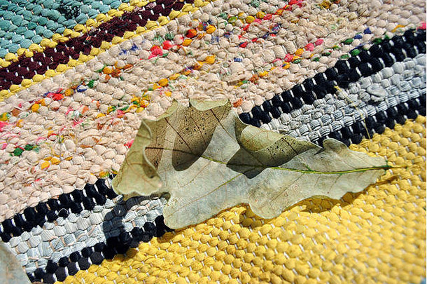 干白色橡木叶关闭细节明亮的条纹色彩斑斓的织物人风格地毯世纪背景前视图