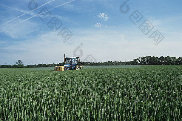 福特拖拉机喷涂小麦作物耳朵细夏天一天比利时