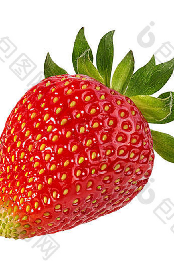草莓孤立的白色背景