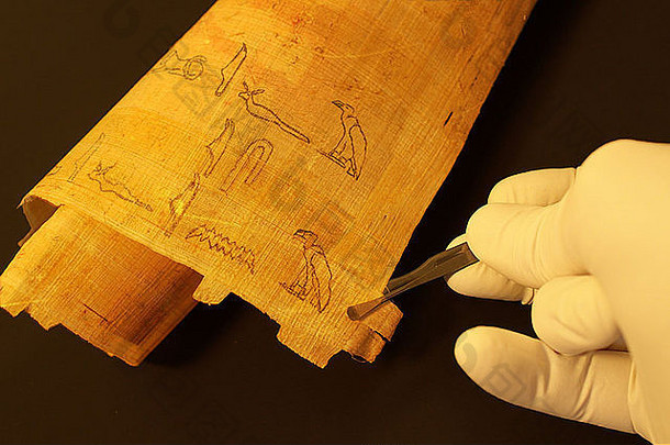 埃及象形文字纸莎草纸