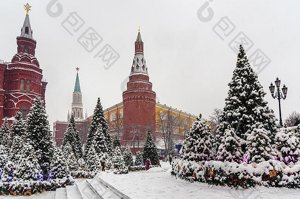白雪覆盖的圣诞节树马内日纳亚广场莫斯科俄罗斯