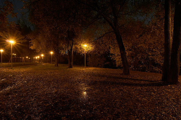 晚上公园街灯明星过滤器效果公园亚乌扎河巴布什金斯基区莫斯科