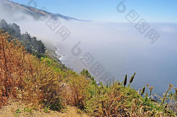 高速公路加州美国太平洋海洋雾全景视图海岸线大关于著名的地区中央海岸加州