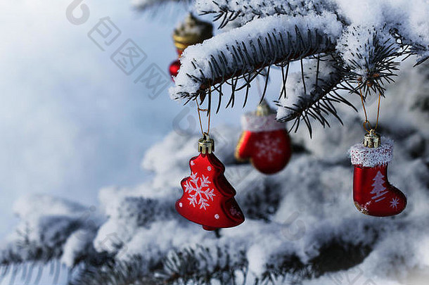 自然冷杉树覆盖雪圣诞节装饰挂冷杉树分支