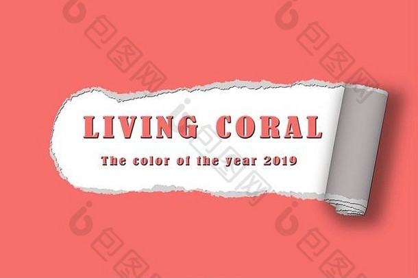 文本颜色一年生活珊瑚珊瑚扯掉纸背景