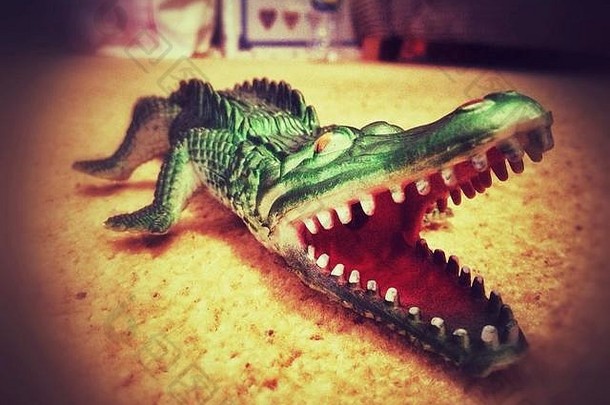 玩具鳄鱼地板上