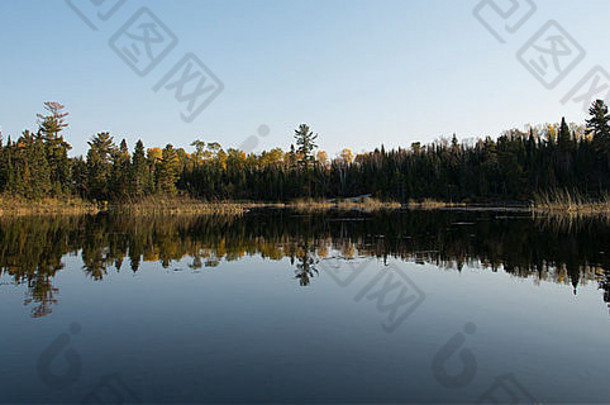 反射树水海岸线凯诺拉湖森林安大略加拿大