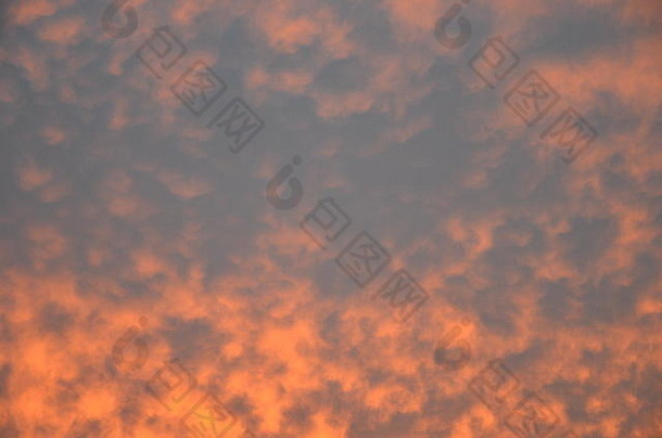 红色的晚上太阳集艾里大气背景美明亮的云多云的颜色珊瑚珊瑚效果天堂
