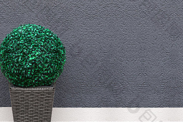 全景人工黄杨木球棕色（的）编织种植装饰前面灰色的白色墙