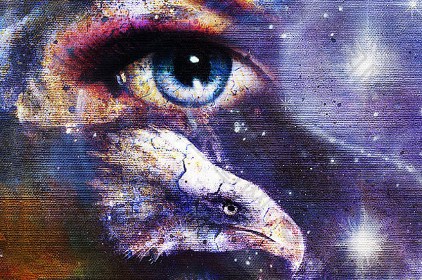 绘画鹰女人眼睛摘要背景阴的象征空间星星翅膀飞