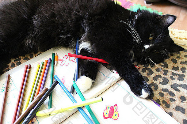 图像黑色的累了猫说谎沙发画