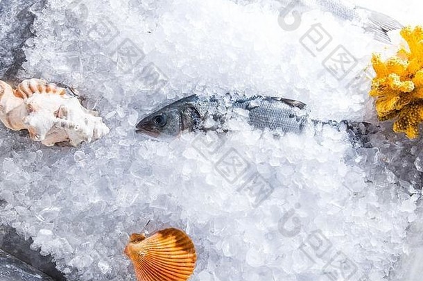 高角生活各种生新鲜的鱼令人心寒的床上冷冰海鲜市场摊位复制空间