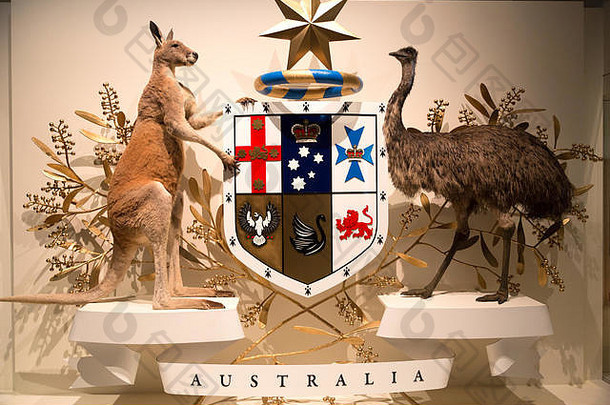 澳大利亚政府象征袋鼠鸸鹋动物
