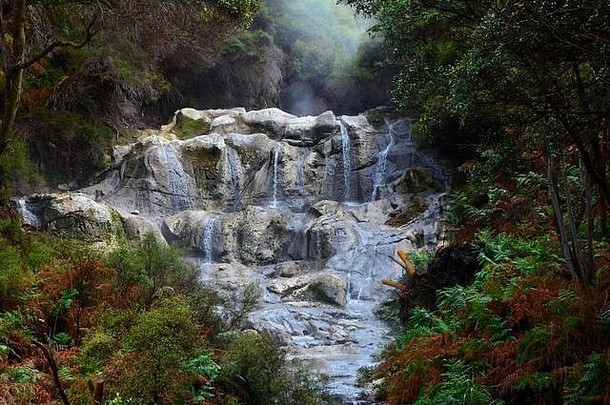 卡卡西瀑布最大热瀑布南部半球罗托鲁瓦新西兰
