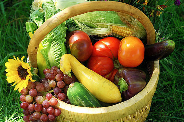 柳条篮子填满水果蔬菜花新鲜的花园