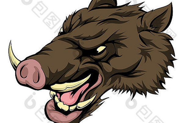 插图激烈的野猪动物字符体育吉祥物