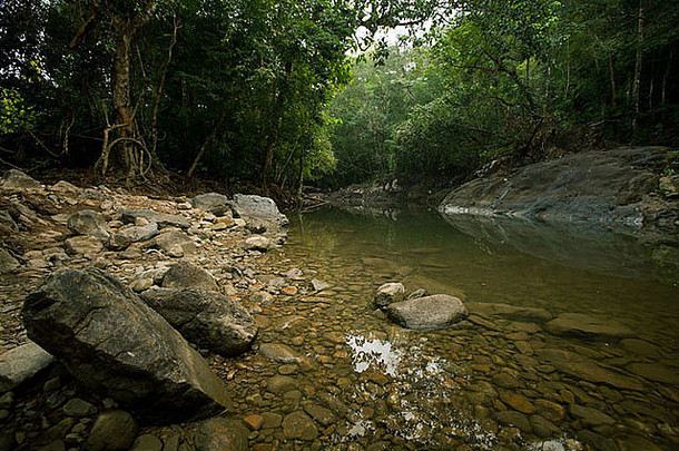 河丛林KOH常岛泰国
