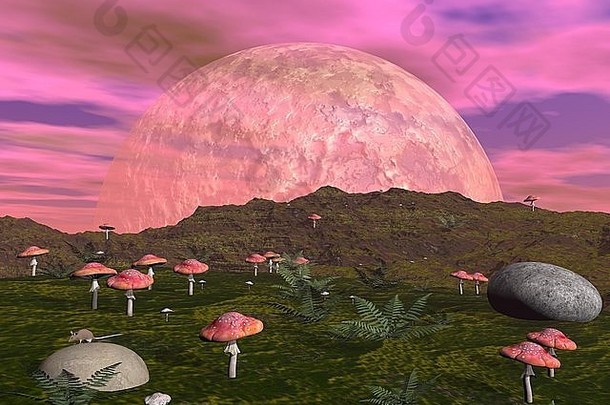 幻想景观红色的蘑菇蕨类植物石头月亮