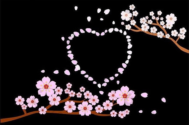 爱浪漫概念完整的布鲁姆樱桃花朵吹飞行花瓣心形状黑色的背景