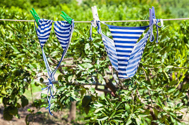 农业旅游意大利游泳西装干绿色果园西西里夏天阳光明媚的一天