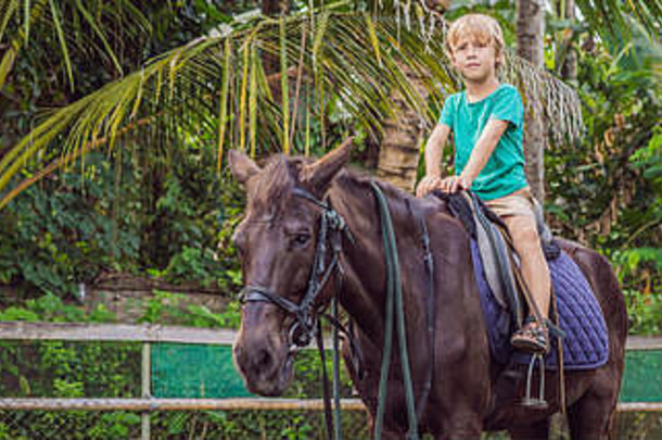男孩马背上的骑执行练习马背上的横幅长格式