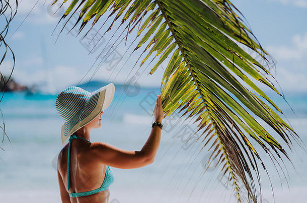 女人海滩触碰棕榈树叶影子穿蓝色的他奢侈品天堂娱乐假期概念
