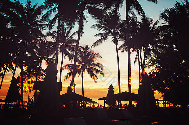 热带海滩棕榈树雨伞轮廓日落光古董新浪微博效果
