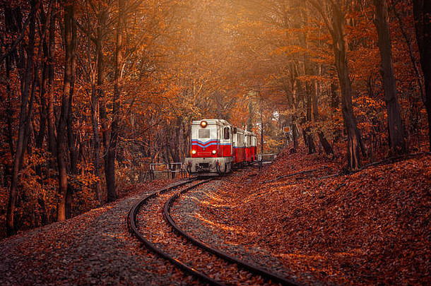 红色的白色柴油火车未来秋天森林布达佩斯美丽的颜色下降叶子背景复古的风格图像