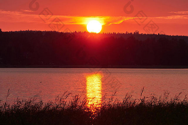 红色的日落天空太阳色彩斑斓的云美丽的夏天晚上场景ruovesi芬兰