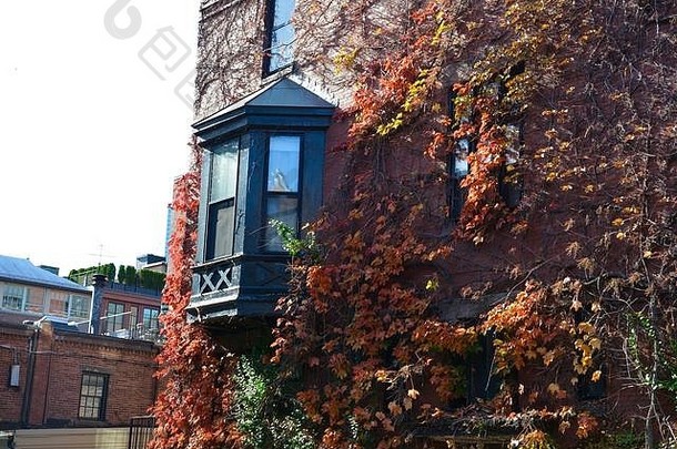 秋天的秋天万圣节风景灯塔山市中心波士顿麻萨诸塞州英格兰曼联州美国