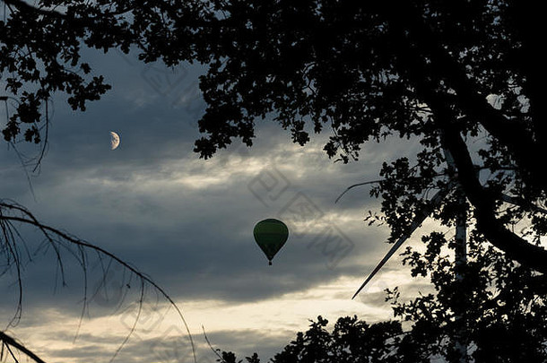热空气气球徘徊在多云的天空晚上前景分支机构可见轮廓月亮天空