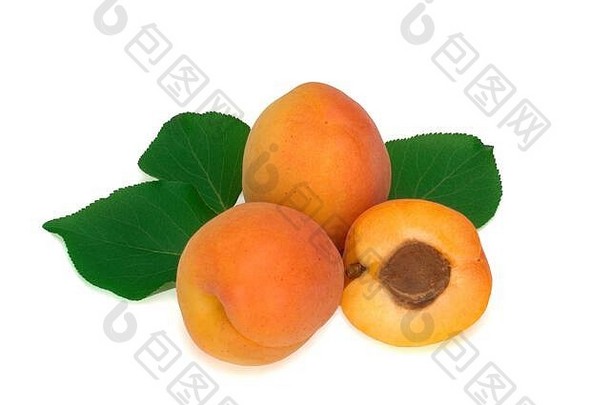 新鲜的杏水果叶子孤立的白色背景